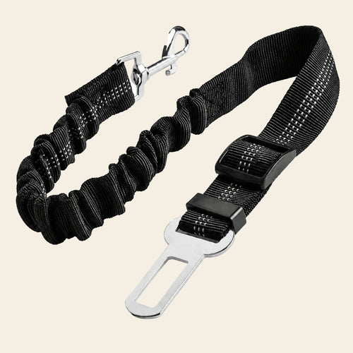 Dog Seat Belt